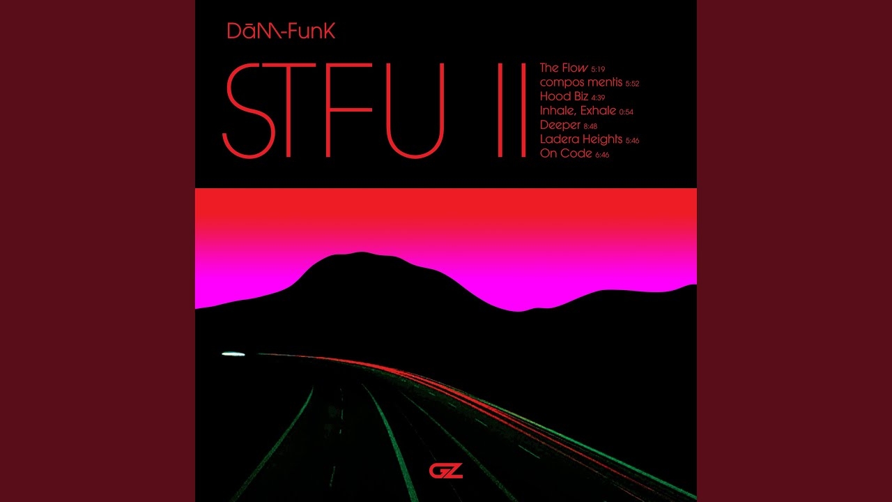 image  1 STFU II by DAM-FUNK