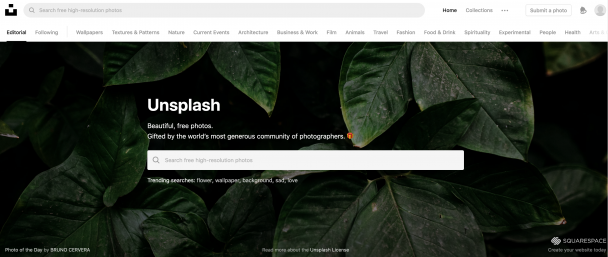 Unsplash Website